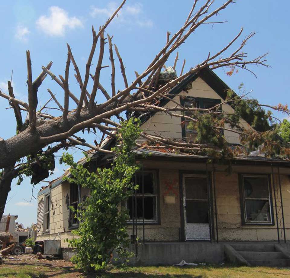 Emergency Tree work