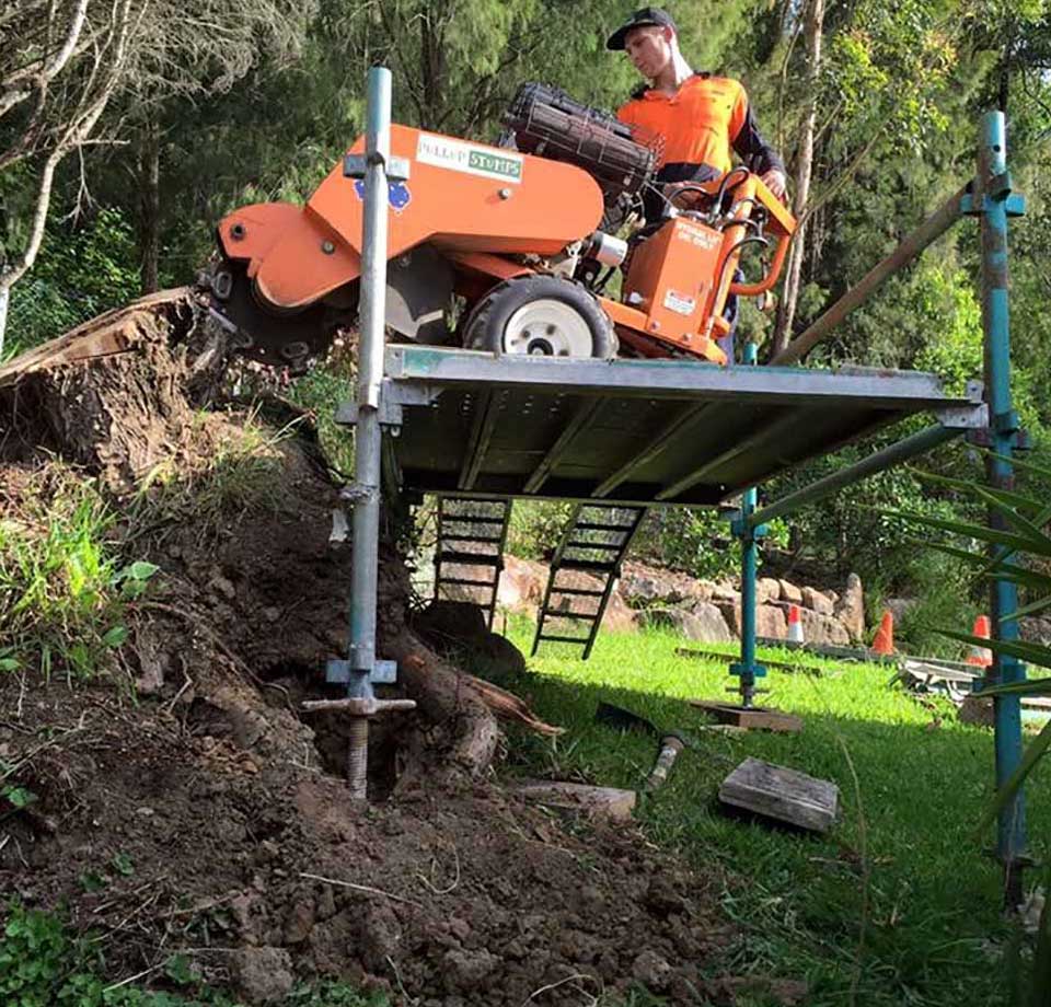 Stump Grinding