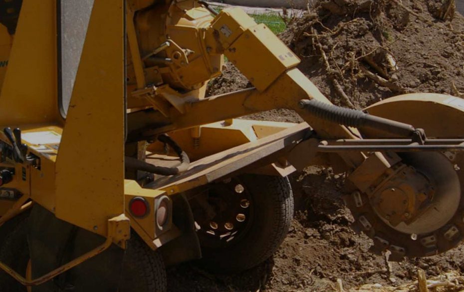 Stump Grinding & Stump Poisoning