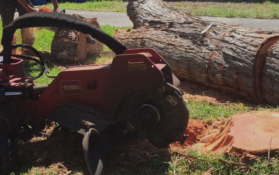 Irwin-Clements-Tree-Service